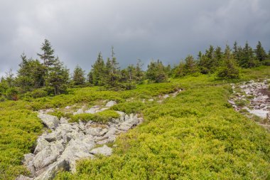 Polonya dağ manzarası - Polonya