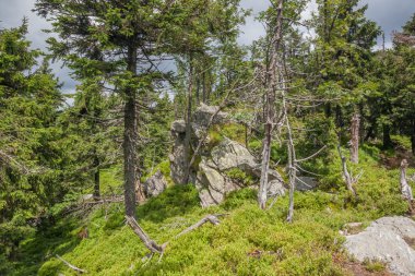 Prambanan Tapınağı, Budistler/Endonezya'nın kutsal yere bir görünümünü