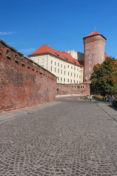 Uma vista do castelo de Wawel de Cracóvia na Polónia — Fotografia de Stock