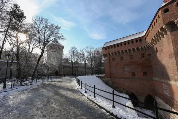 Uma vista do edifício histórico em Cracóvia, Polônia — Fotografia de Stock