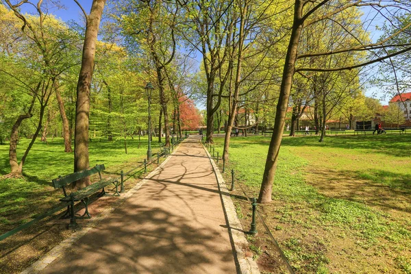 A view of the Planty park the most famous place for walks in Krakow. Poland — Stock Photo, Image