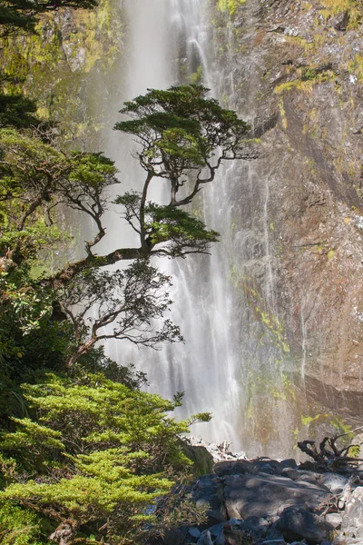 Blick auf den Wasserfall in Neuseeland — Stockfoto