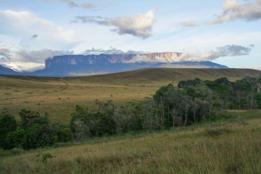 Roraima Venezuela Dağı doğal bir görünüm