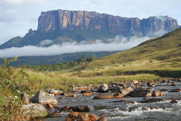 A scenic view of the Roraima mountain in Venezuela — Stock Photo, Image