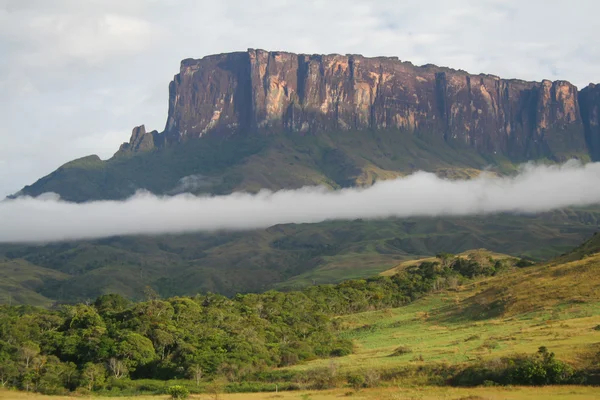 En naturskön utsikt över berget Roraima i Venezuela — Stockfoto