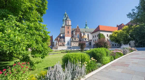 En vy över slottet Krakow i Polen — Stockfoto