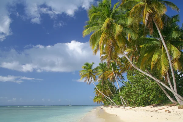 Uma vista panorâmica da praia tropical — Fotografia de Stock