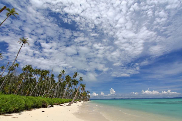Красивый вид на тропический пляж — стоковое фото