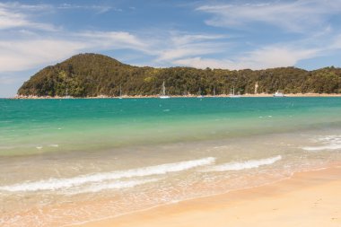 Yeni Zelanda kıyılarının Abel Tasman Ulusal Parkı içinde doğal bir görünüm