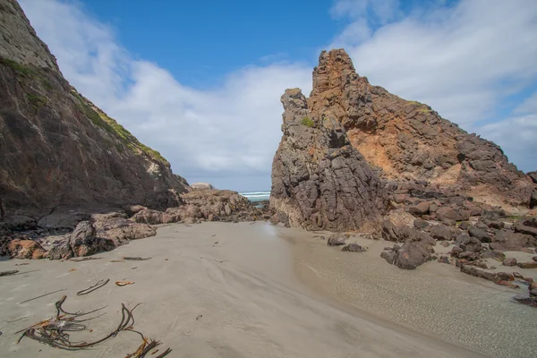 Eine neuseeländische Küste - Landschaft — Stockfoto