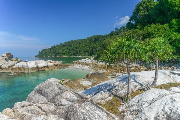 Una vista de la playa de piedra, Paisaje — Foto de Stock