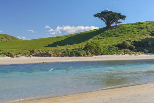 Una vista panorámica de Nueva Zelanda — Foto de Stock