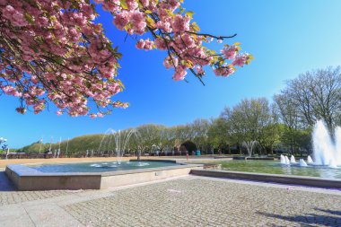 Polonya Szczecin şehir görüntüsü. Bahar Parkı