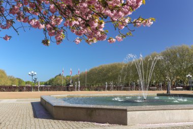 Polonya Szczecin şehir görüntüsü. Bahar Parkı