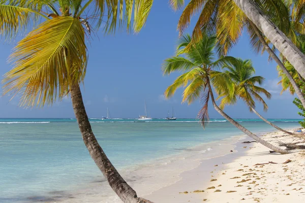 Görünümü mükemmel bir tatil Beach. Manzara — Stok fotoğraf