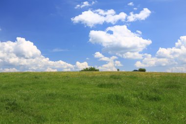 Çayır doğal görünümünü