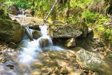 Küçük şelale dağ manzarası