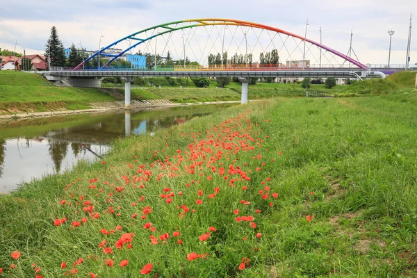 Weergave van de brug in Rzeszow, Polen — Stockfoto