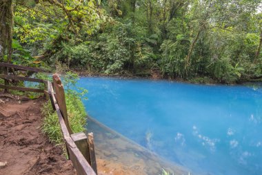 View of the blue river in the jungle, Costa rica, Celeste river, Landscape