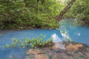 Ormanda, Kosta Rika, Celeste nehir, manzara mavi nehir manzarası
