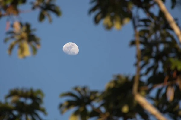 Vista da lua — Fotografia de Stock