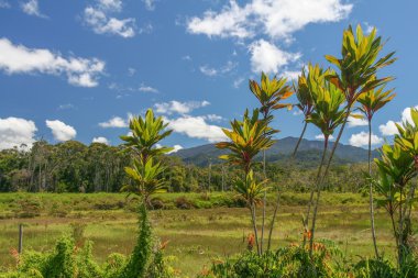 Doğa manzara görünümünü. Borneo, Sarawak