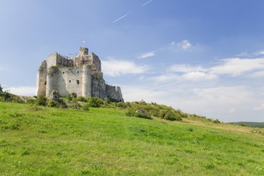 Kalenin doğal görünümü Mirow köyde mahveder. Polonya