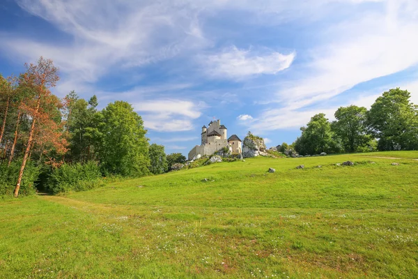 Мальовничим видом середньовічного замку в селі Bobolice. Польща — стокове фото