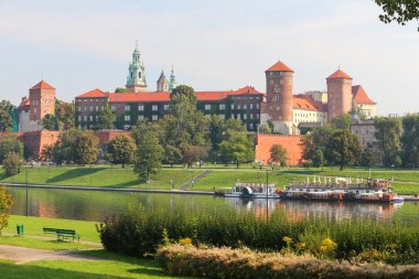 Krakow şehrinde Kraliyet kalesinin doğal görünüm / Polonya