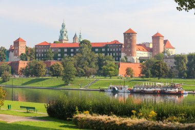 Scenic view of the Royal castle in Krakow / Poland clipart