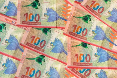 Bolivya parası, papağanlı 100 banknot, bir sürü dolgu, iş ve mali konsept. 