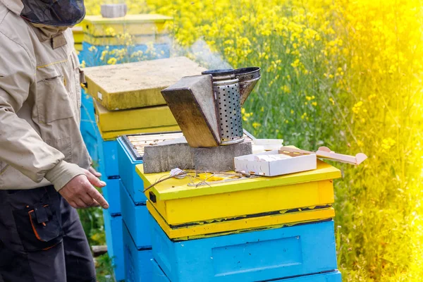 Beekeepers Collect Honey Beehives Meadow Full Yellow Flowers Organic Bee — Stock Photo, Image