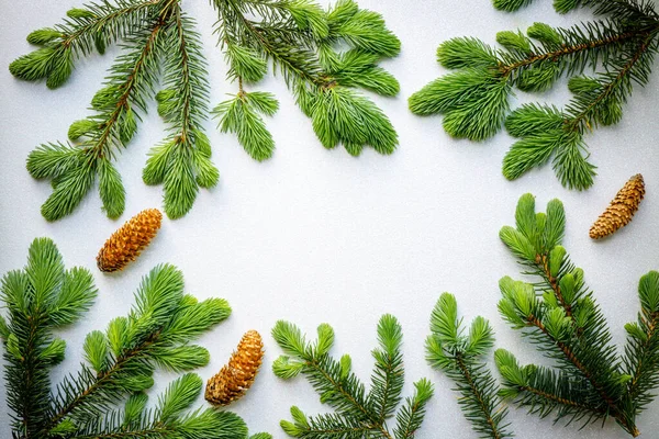 Disposizione Degli Alberi Natale Spazio Testo Concetto Natale Anno Nuovo — Foto Stock