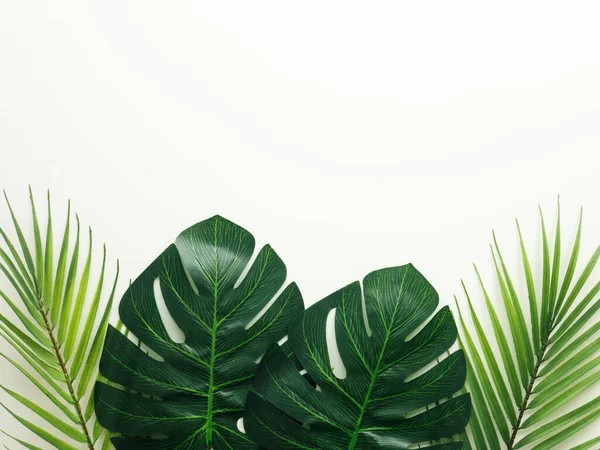 Tropical Leaves White Background Minimal Concept Place Your Text — Stock Photo, Image