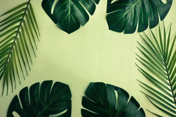 Eaves Monstera Tropical Palm Trees Creative Background Minimal Concept Space — Stock Photo, Image