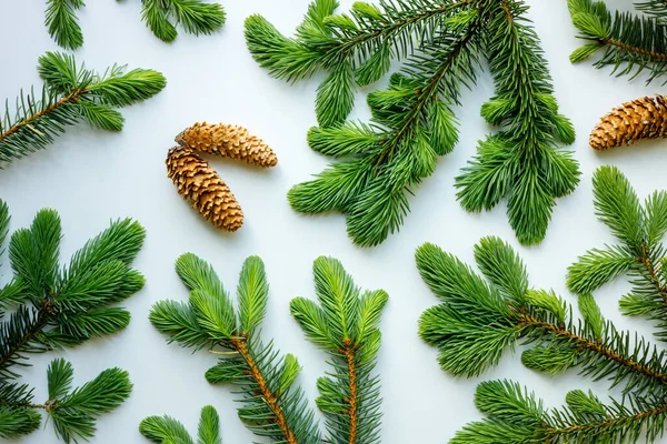 Christmas Background Twigs Pine Cones White Background Holidays New Year — Foto Stock