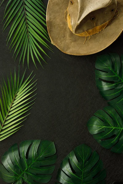 Tropical Leaves Cowboy Hat Minimal Layout Jungle Expedition Concept Blank — Stock Photo, Image