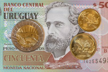 Para biriktir. Güzel Uruguay sikkeleri 50 pezoya karşı. Finansal ve iş konsepti. Kapat.