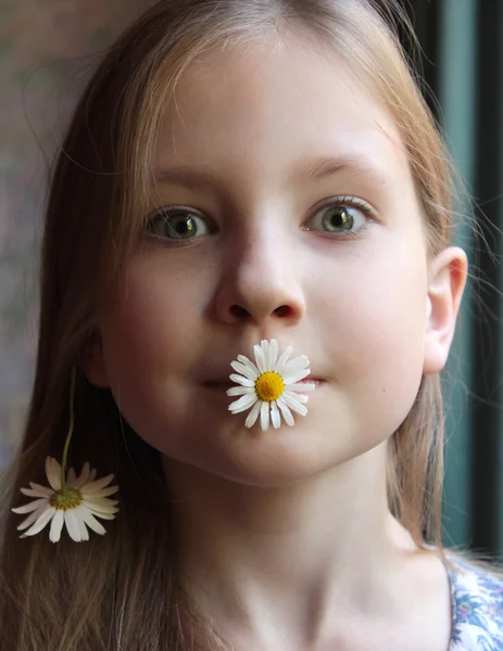 O retrato de rosto da menina com flores no fundo cinza — Fotografia de Stock