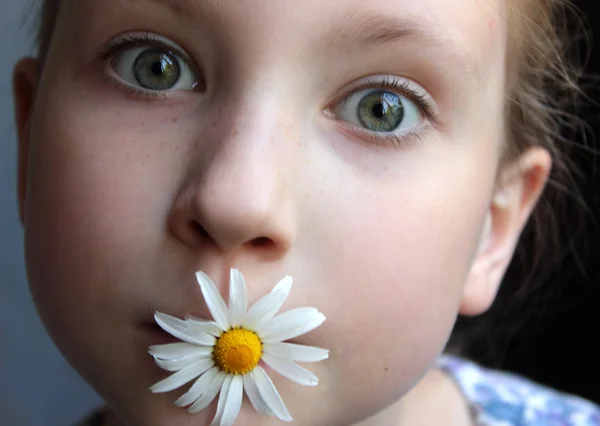 O retrato de rosto da menina com flores no fundo cinza — Fotografia de Stock