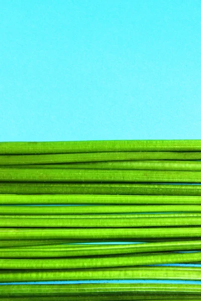 Zielone Łodygi Roślin Niebieskim Tle Tło Przyrodnicze Widok Poziomy — Zdjęcie stockowe
