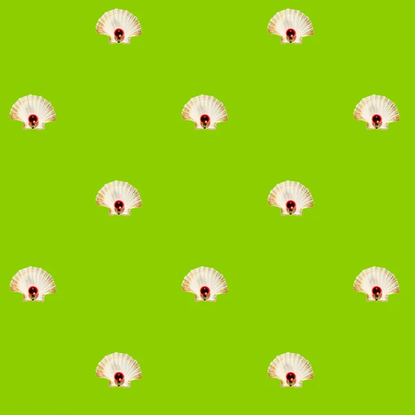 緑色の背景に白い貝殻と小さな赤いボール 抽象色の等方パターン — ストック写真