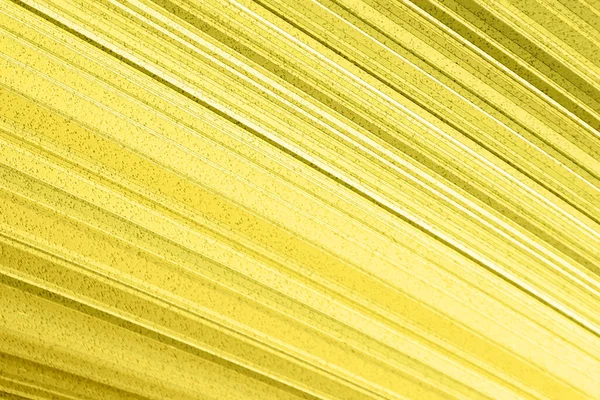Elmosódott Kép Egy Absztrakt Textúra Háttér Sárga Színek Sárga Árnyalatú — Stock Fotó