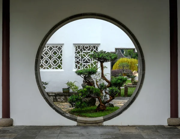 Beautiful big bonsai tree through circle entrance to the garden — Stock Photo, Image