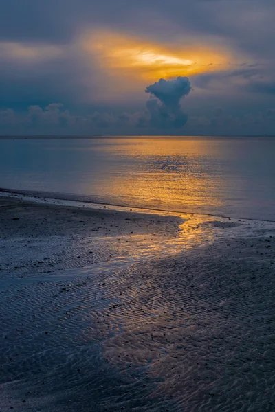 Kis patak fut a tenger gyönyörű napfelkelte alkonyatkor. — Stock Fotó