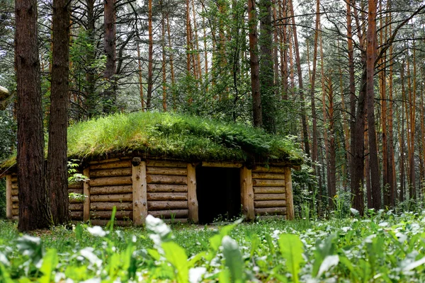 Réplique de ancienne maison en bois sibérien avec de la terre et de l'herbe sur — Photo