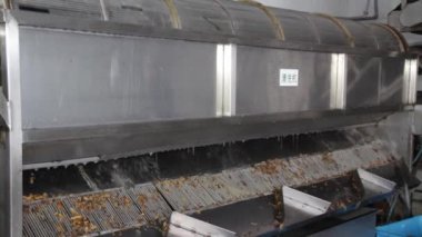 Konserve Gıda Üretimi 