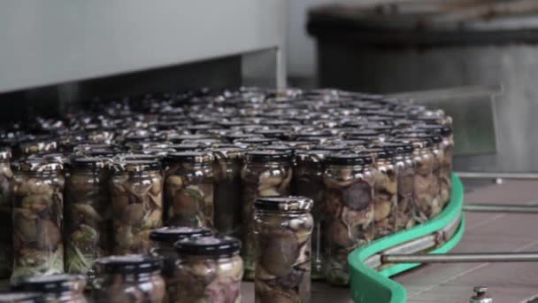 Canned food production — Stock Video