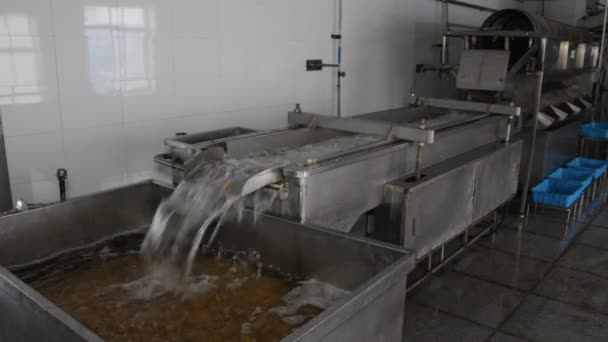 罐头的食品的生产 — 图库视频影像
