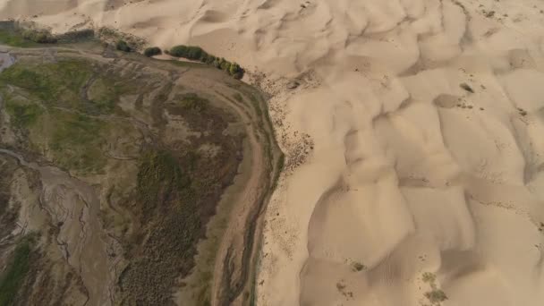 Senderismo Desierto Disparando Desierto Con Dron — Vídeos de Stock